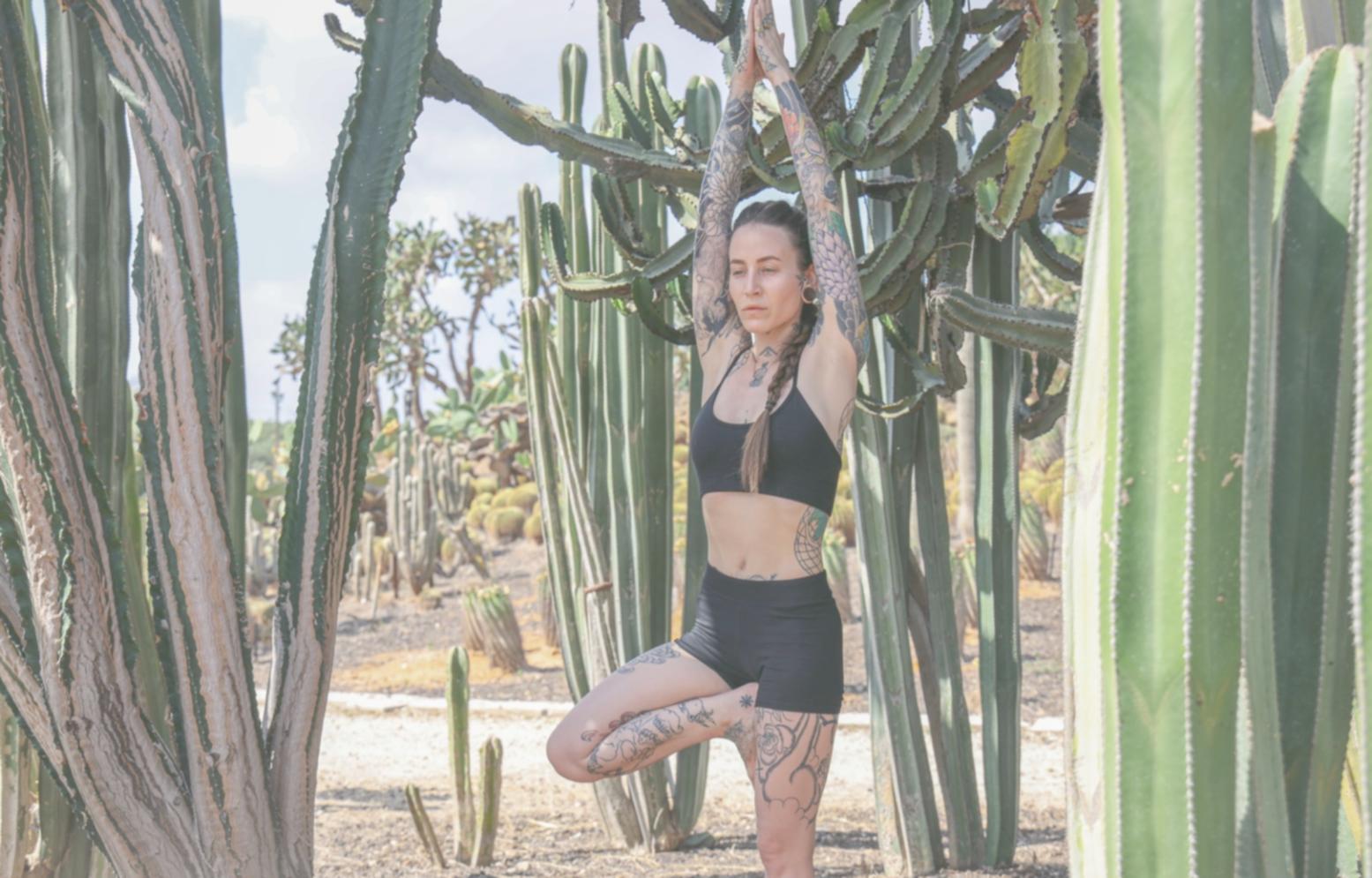 Yoga Einstieg für Anfänger
